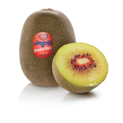 Στάδια ανάπτυξης Dong Hong